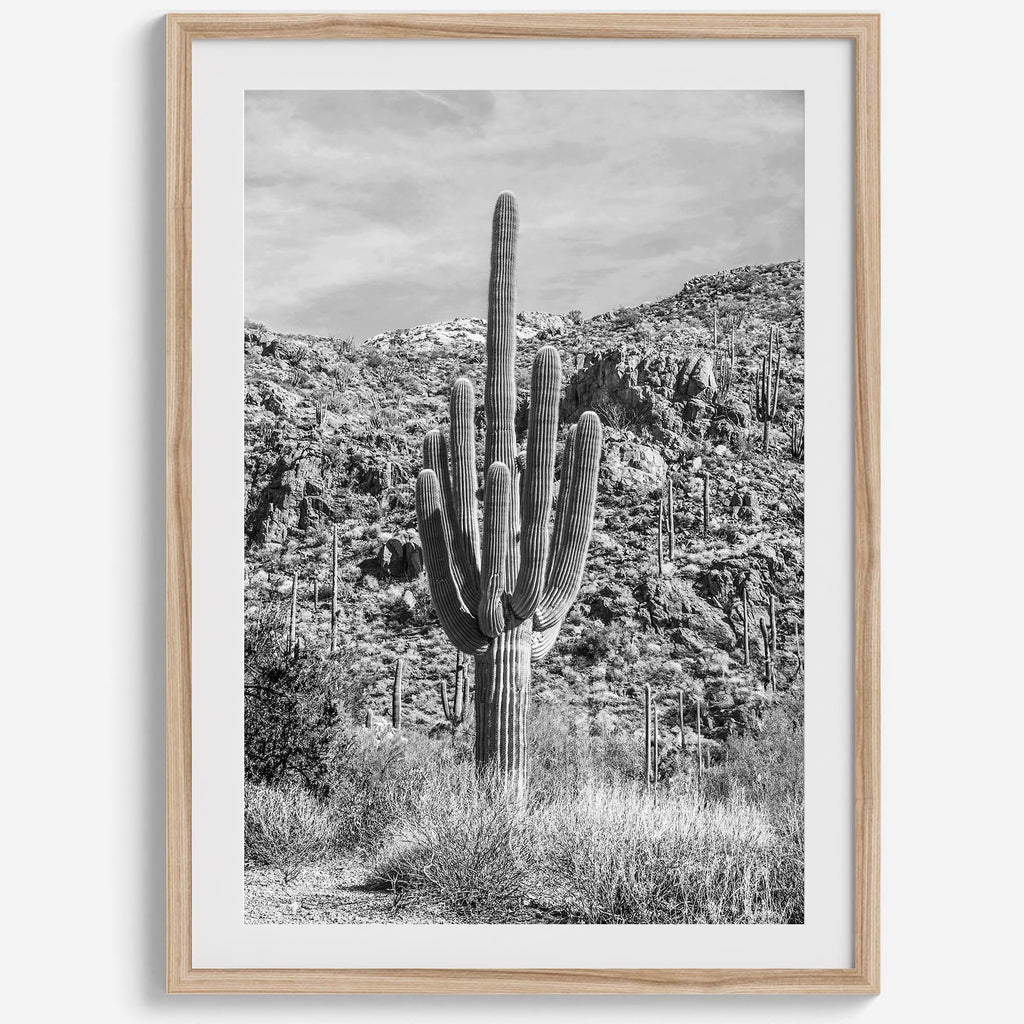 Vintage Saguaro