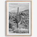 Vintage Saguaro