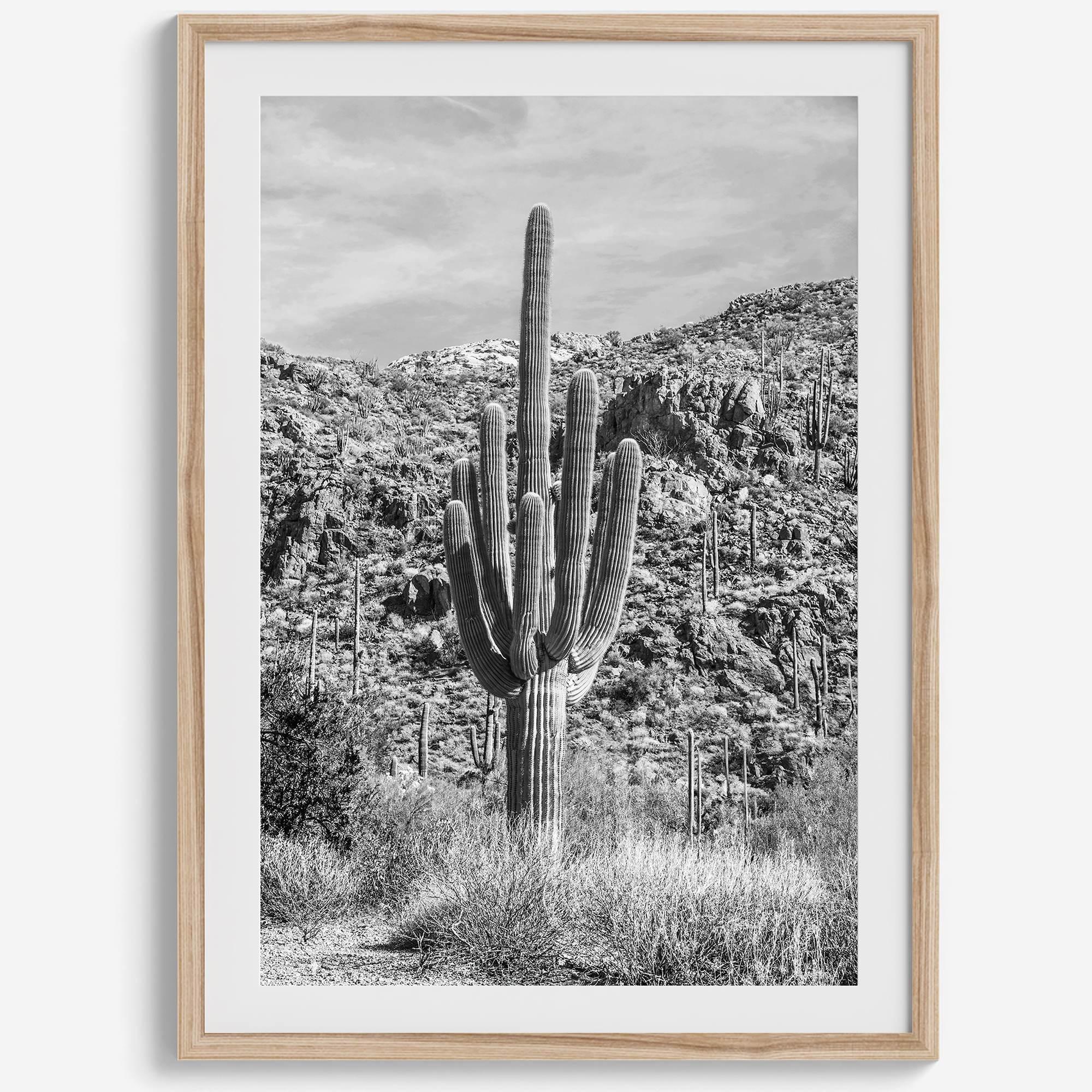 Vintage Saguaro
