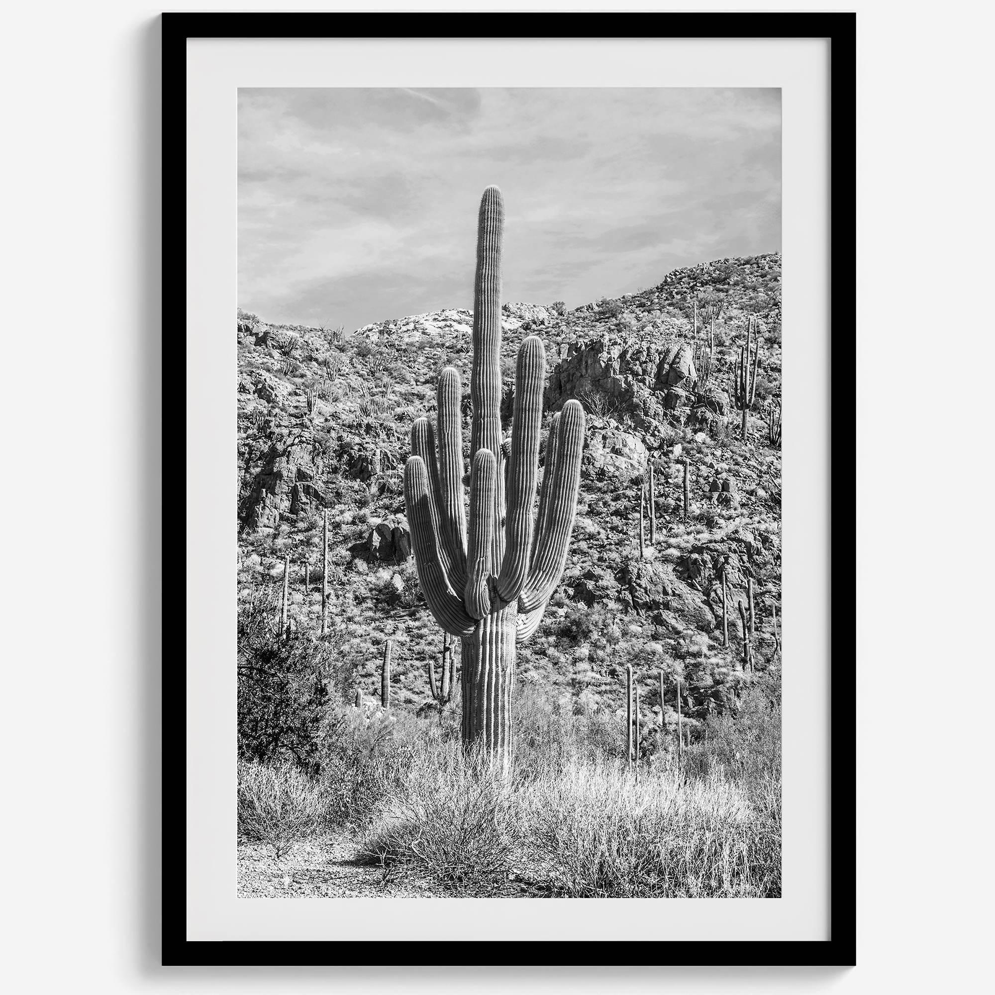 Vintage Saguaro
