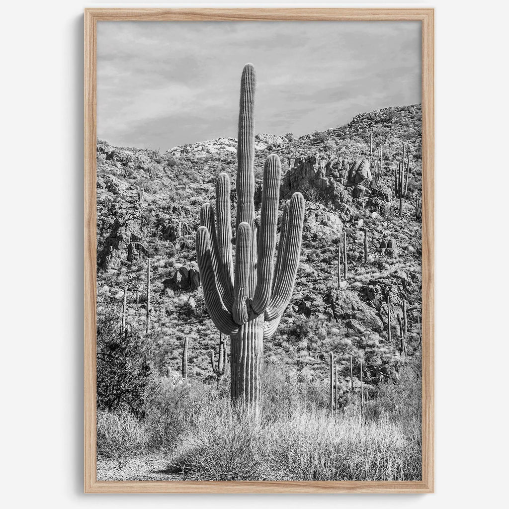 Vintage Saguaro