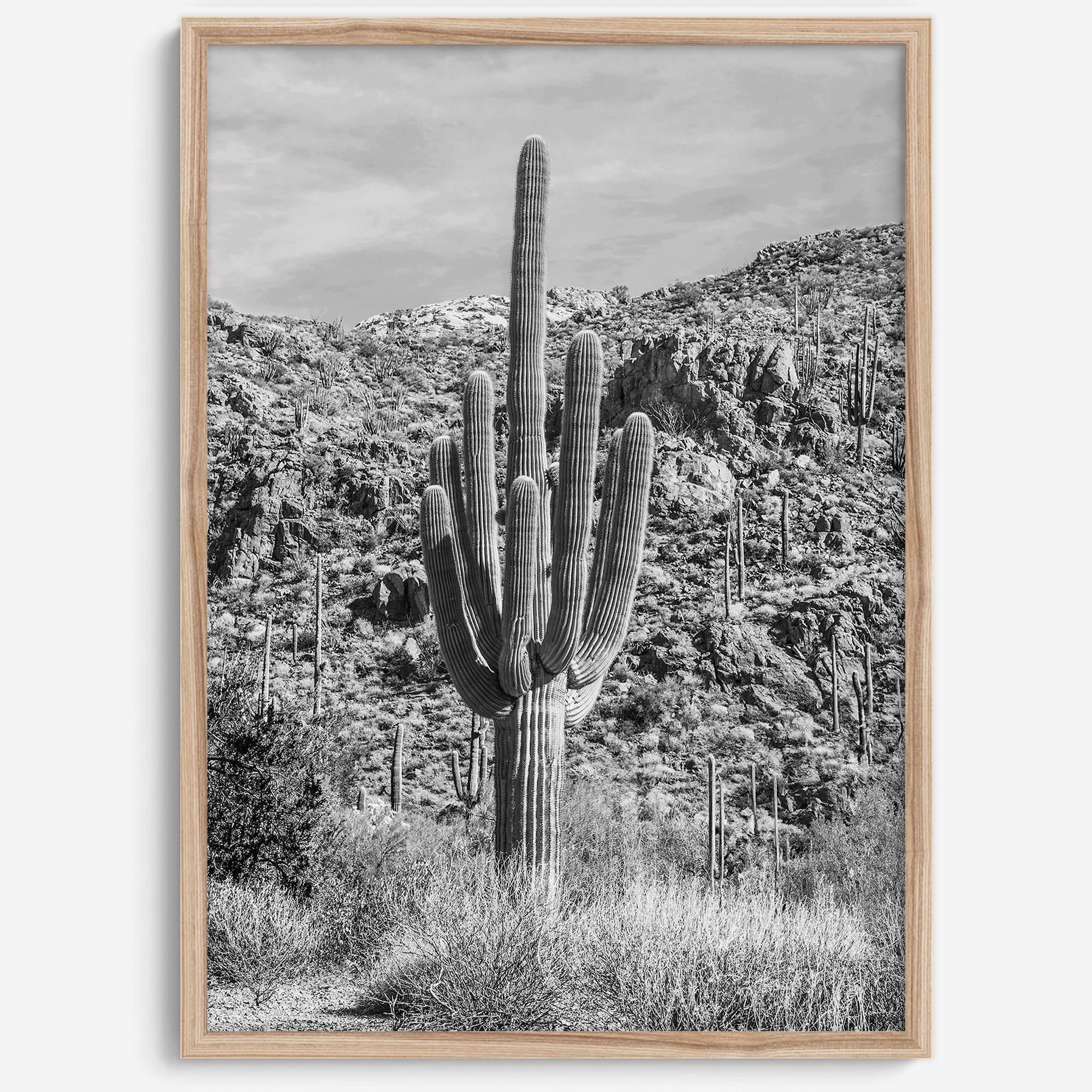 Vintage Saguaro