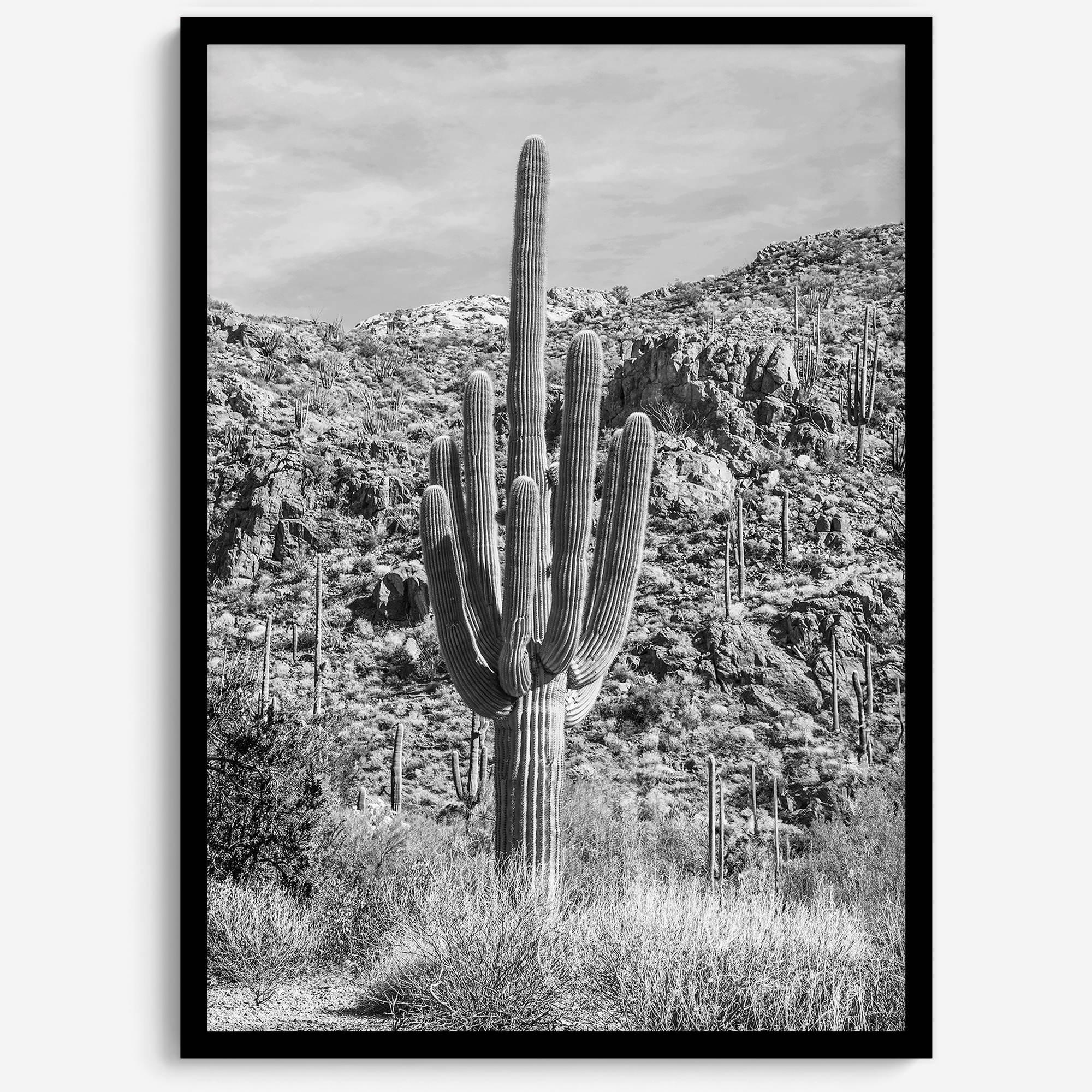 Vintage Saguaro