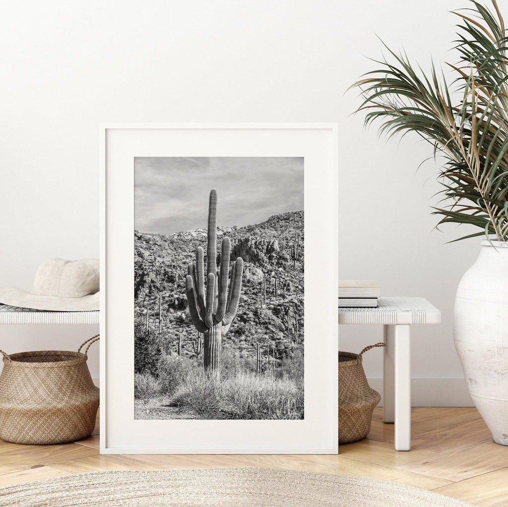 Vintage Saguaro